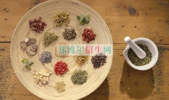 初中畢業(yè)學中醫(yī)學怎么樣