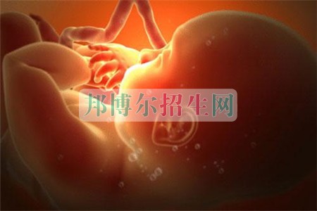 100分能上助產(chǎn)護(hù)理嗎