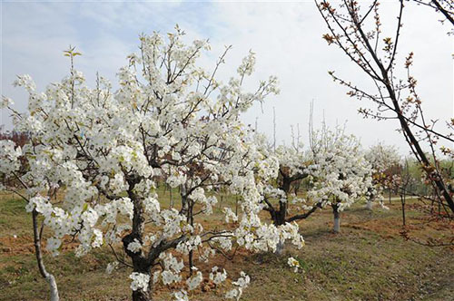 宿遷高等師范學(xué)校怎么樣、好不好