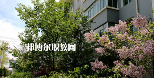 蘭州科技職業(yè)學(xué)院2021年有哪些專業(yè)